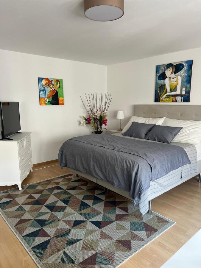 Schweiz Apartment Basel Bagian luar foto